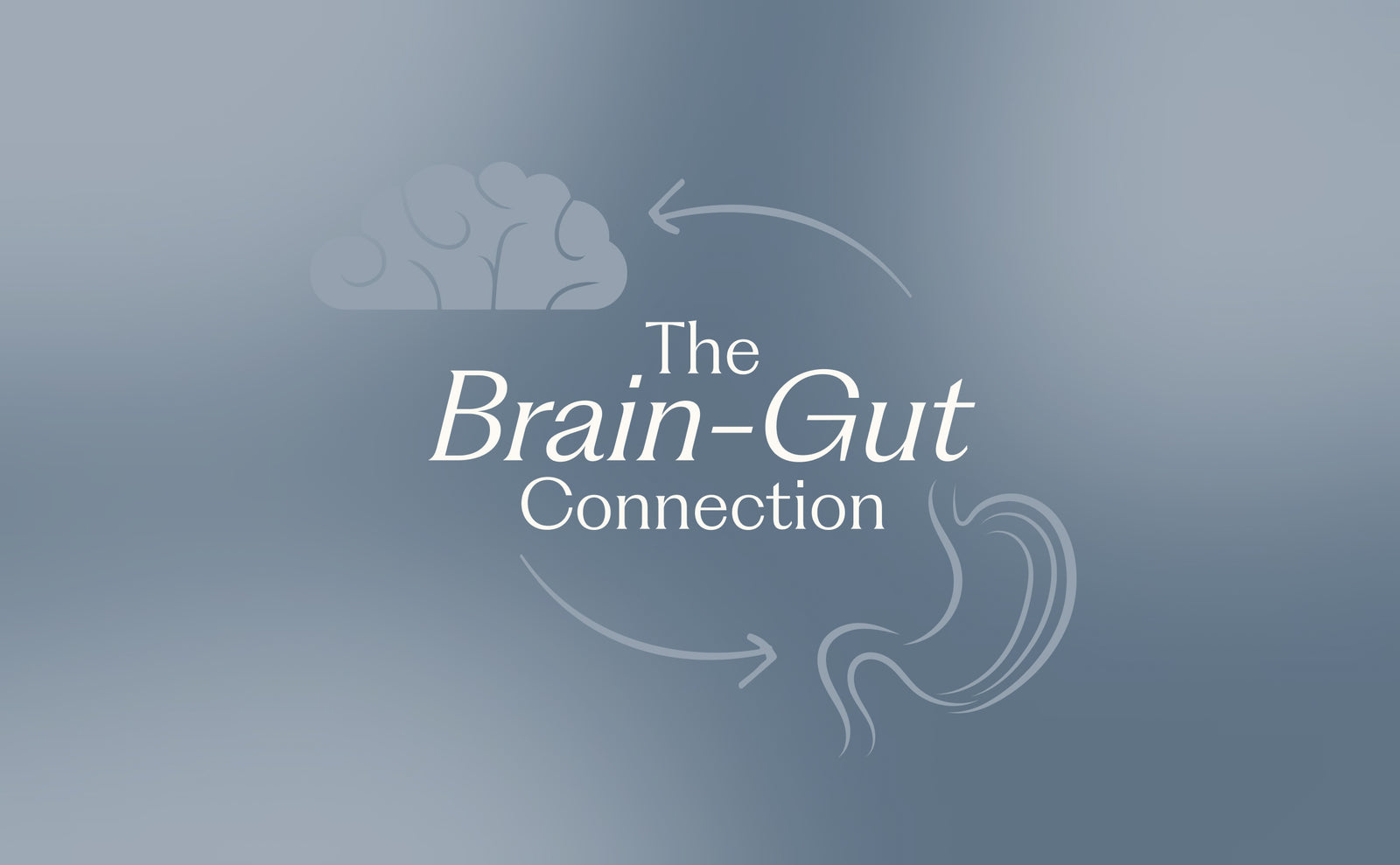 The brain-gut connection