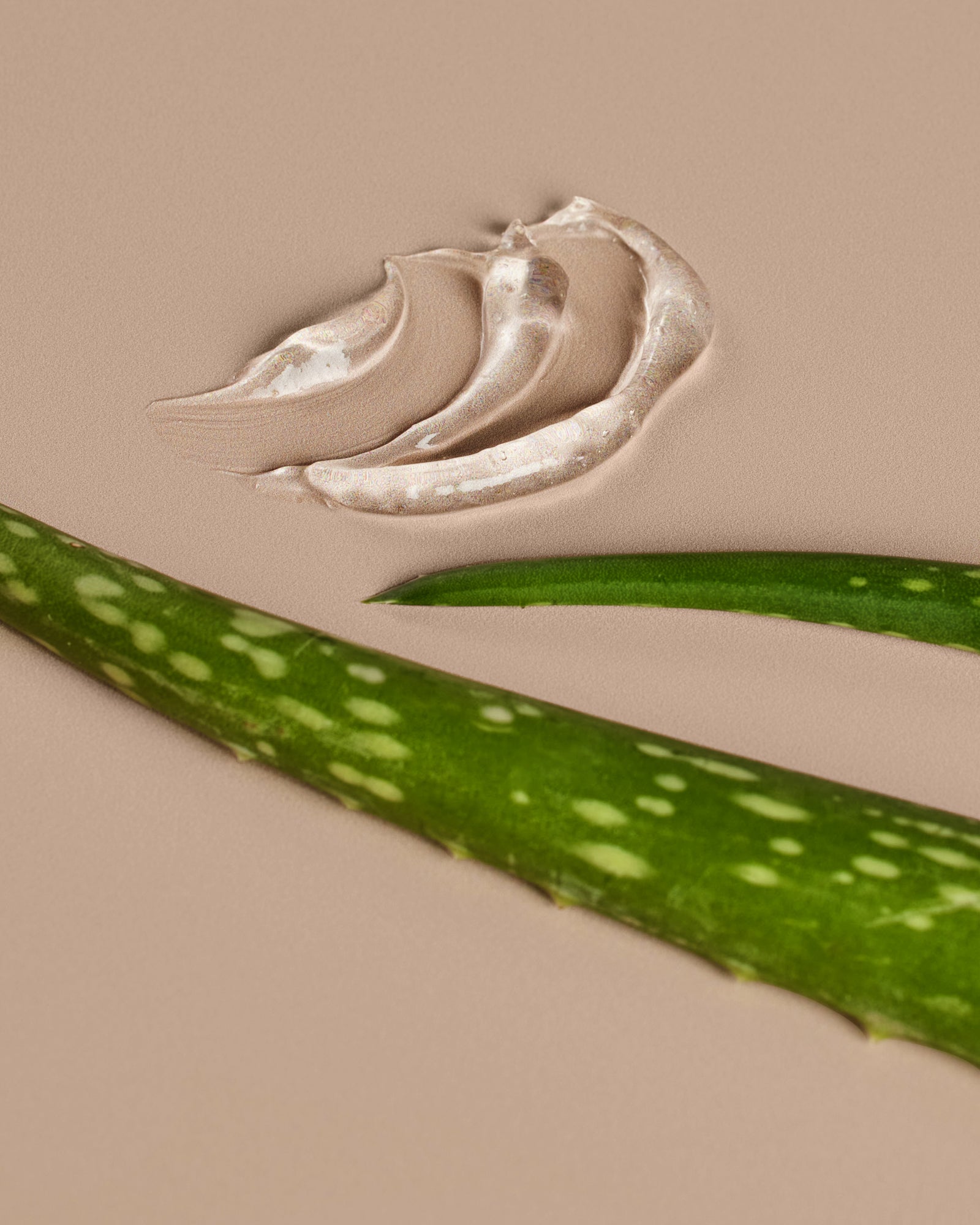 A stalk of aloe vera and gel from aloe vera, positioned against a neutral background.
