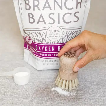 Hand holding a natural scrub brush next to Branch Basics Oxygen Boost on a neutral background