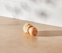 A Natural Scrub Brush, made with a solid beechwood handle and natural fiber bristles, displayed on a neutral surface and white tiled background. - Thumbnail View 1
